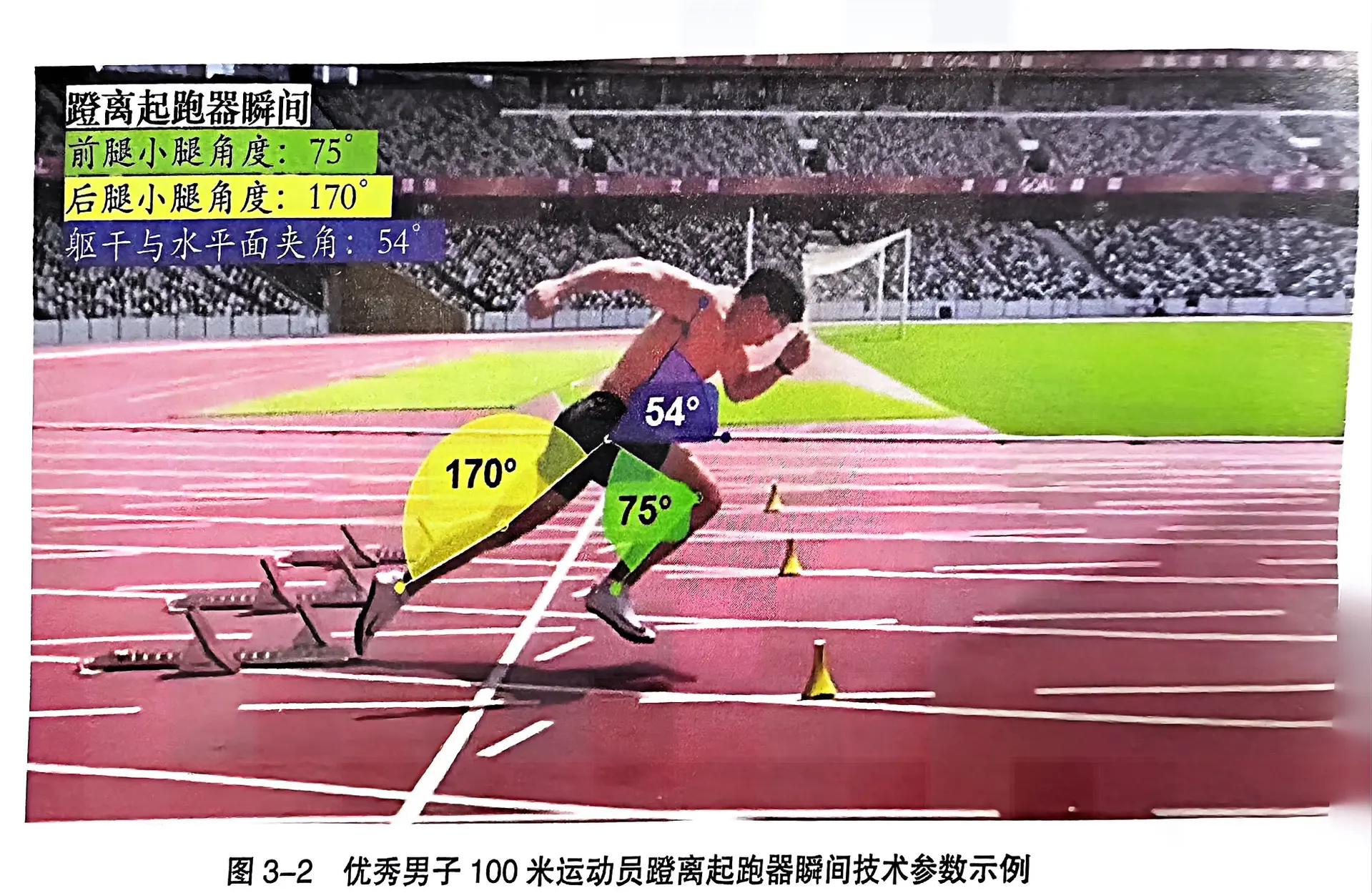 日本短跑选手夺得百米冠军，速度惊人(日本短跑选手夺得百米冠军,速度惊人吗)