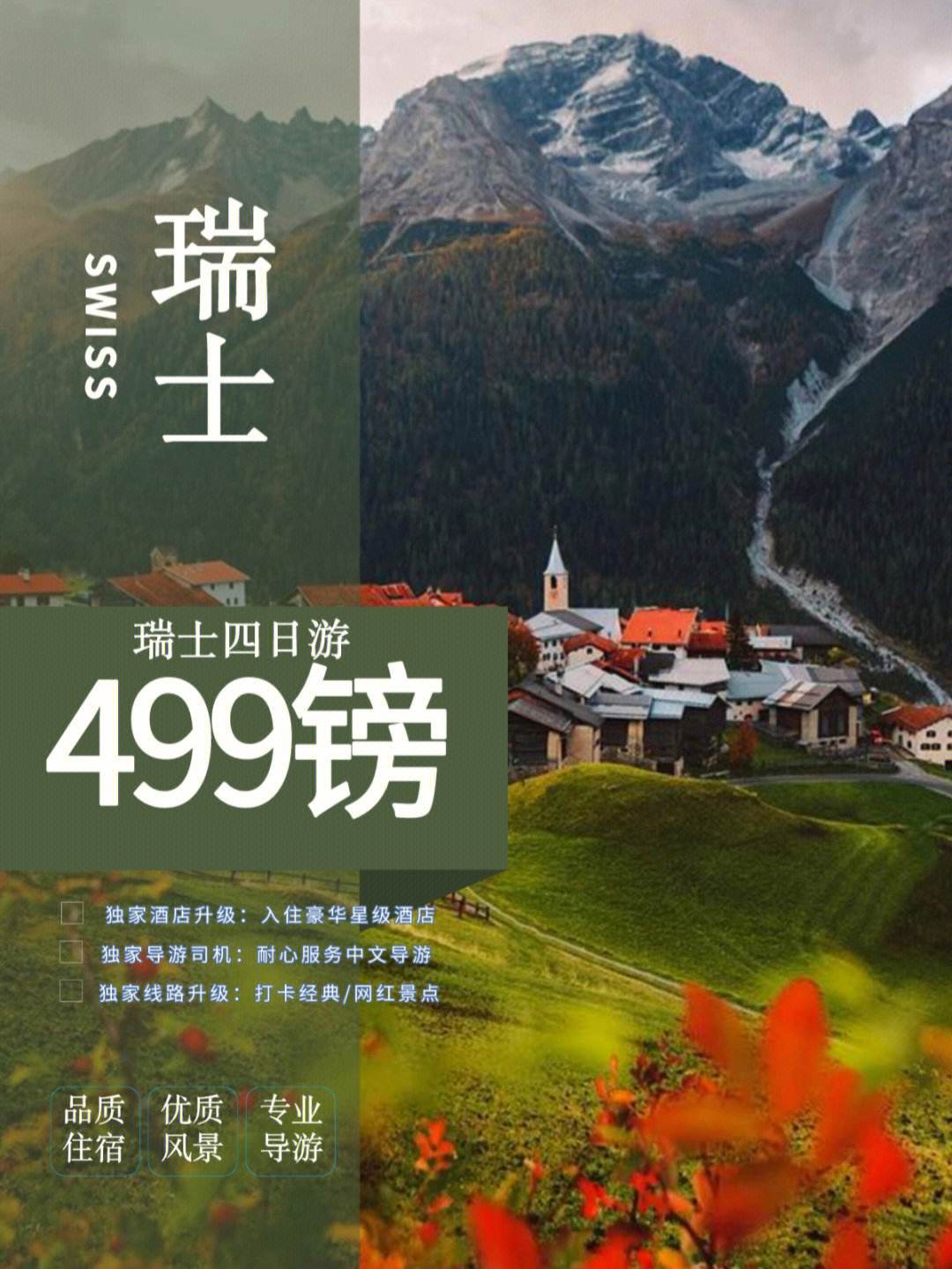 瑞士代表团突遇困境：临时改变策略备战的简单介绍